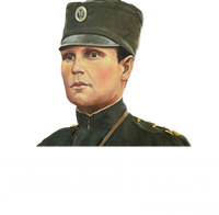Sajt Kreator by Web Hosting Srbija